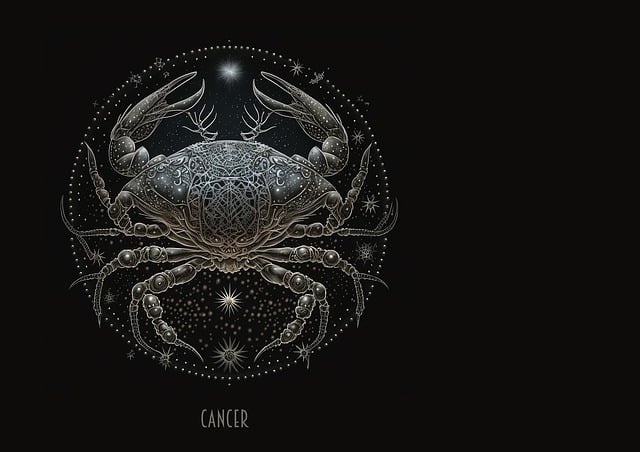 星月交辉:寻找专属你们的浪漫称谓