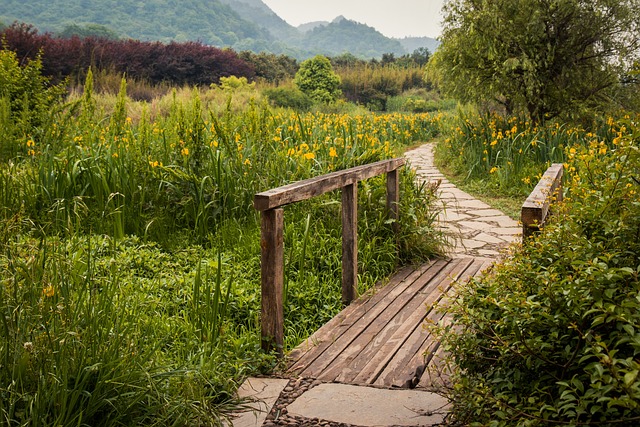 出行吉日,星座指路,你的旅程从此顺风顺水!
